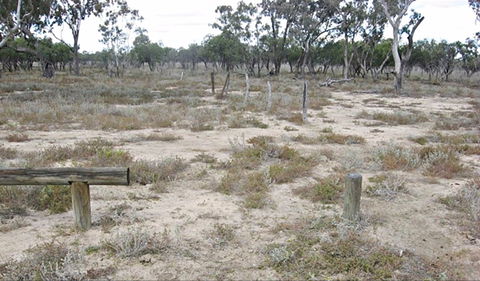 Culgoa Connellys Track - Accommodation QLD 0