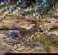 Cycle Mogo State Forest - Accommodation QLD