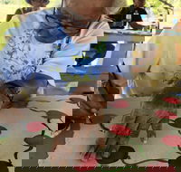 Euraba Paper Aboriginal Corporation - Accommodation QLD