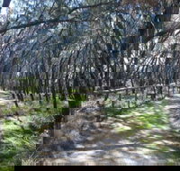 Federation Walk - Accommodation QLD