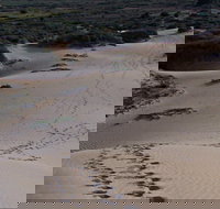 Foreshore Walk Mungo National Park - Accommodation QLD