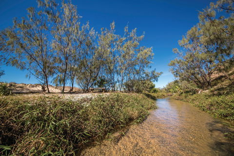 Freshwater Creek Track, Byfield National Park - Accommodation QLD 0