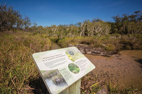 Freshwater Creek Track, Byfield National Park - Accommodation QLD 1