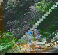Gloucester National Park - Accommodation QLD