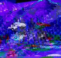 Glowing Rooms 3D Mini Golf - Accommodation QLD