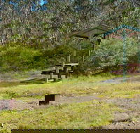 Gloucester Tops picnic area - Accommodation QLD