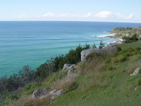 Goanna Headland - Accommodation QLD 1