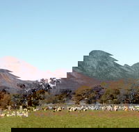 Grampians - Accommodation QLD