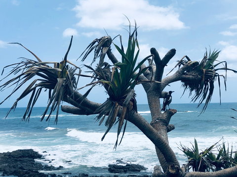 Hastings Point Beach - Accommodation QLD 0