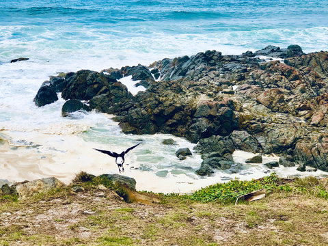 Hastings Point Beach - Accommodation QLD 2