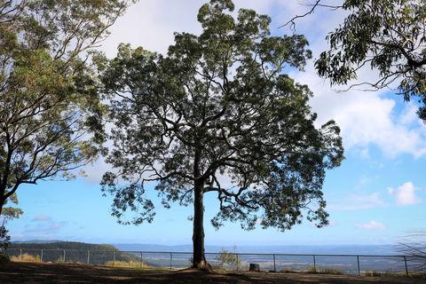 Heaton State Forest - Watagan Mountains - Accommodation QLD 2