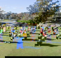 Hello Koalas Sculpture Trail - Accommodation QLD