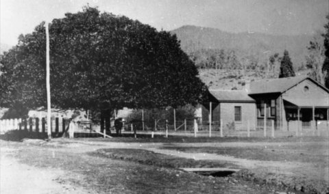 Jamieson Museum - Accommodation QLD 0