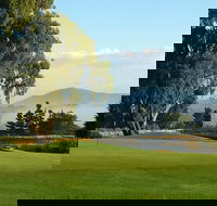 Kangaroo Tours at Gisborne Golf Club Inc - Accommodation QLD