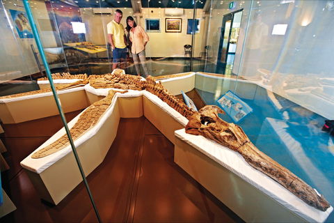 Kronosaurus Korner - Accommodation QLD 1