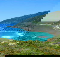 Little Bay Beach - Accommodation QLD