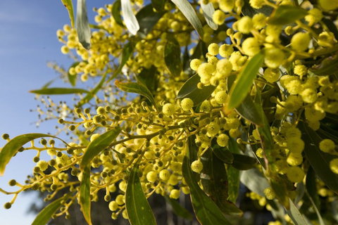 Lorne - Accommodation QLD 2