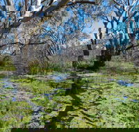 Macquarie Valley Trails