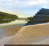 Mangrove Walk - Accommodation QLD