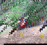 Margaret River Rails Trail - Accommodation QLD