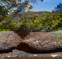 Marramarra Ridge to Smugglers Ridge walking track - Accommodation QLD