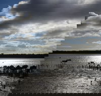 Marine Parade Hastings Foreshore Reserve Circuit - Cycling - Accommodation QLD