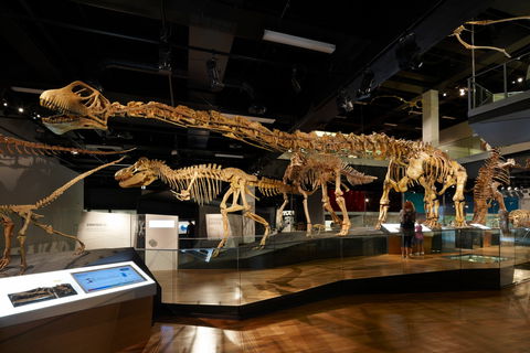 Melbourne Museum - Accommodation QLD 1