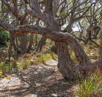 Middle Lagoon Walking Track - Accommodation QLD