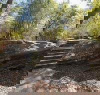 Mooney Mooney nature walk - Accommodation QLD