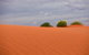 Munga-Thirri - Simpson Desert Conservation Park And Regional Reserve - thumb 0
