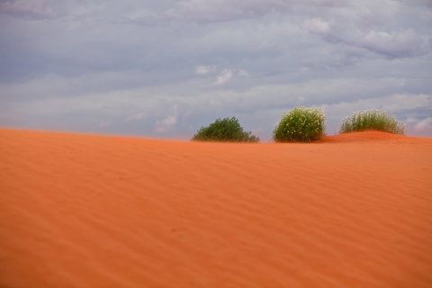 Munga-Thirri - Simpson Desert Conservation Park And Regional Reserve - Accommodation QLD 0