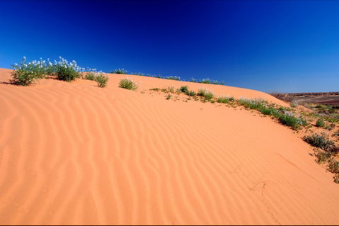 Munga-Thirri - Simpson Desert Conservation Park And Regional Reserve - Accommodation QLD 1