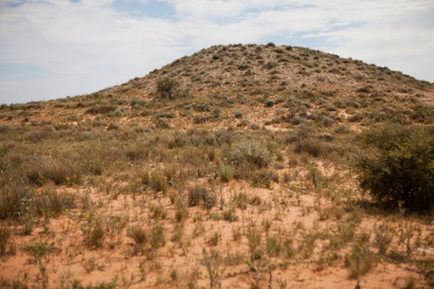 Munga-Thirri - Simpson Desert Conservation Park And Regional Reserve - Accommodation QLD 2