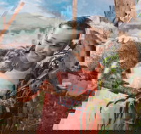 Oakvale Wildlife Park - Accommodation QLD