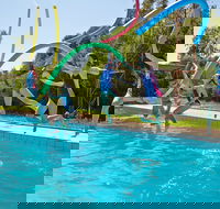 Oaklands War Memorial Swimming Pool - Accommodation QLD