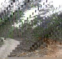 Paddys Ranges State Park - Accommodation QLD
