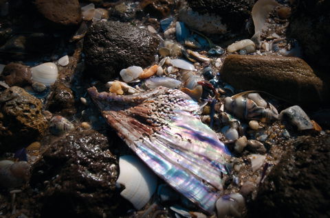 Point Cook Marine Sanctuary - Accommodation QLD 1