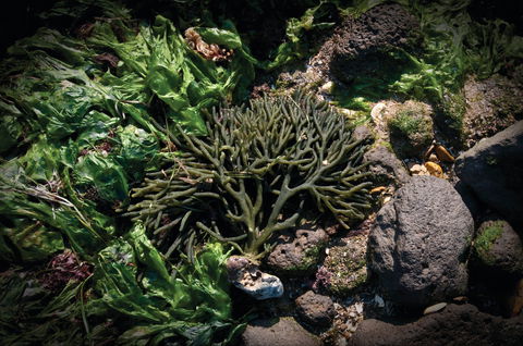 Point Cook Marine Sanctuary - Accommodation QLD 2