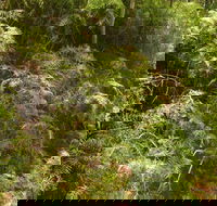 Powder Magazine walking track - Accommodation QLD