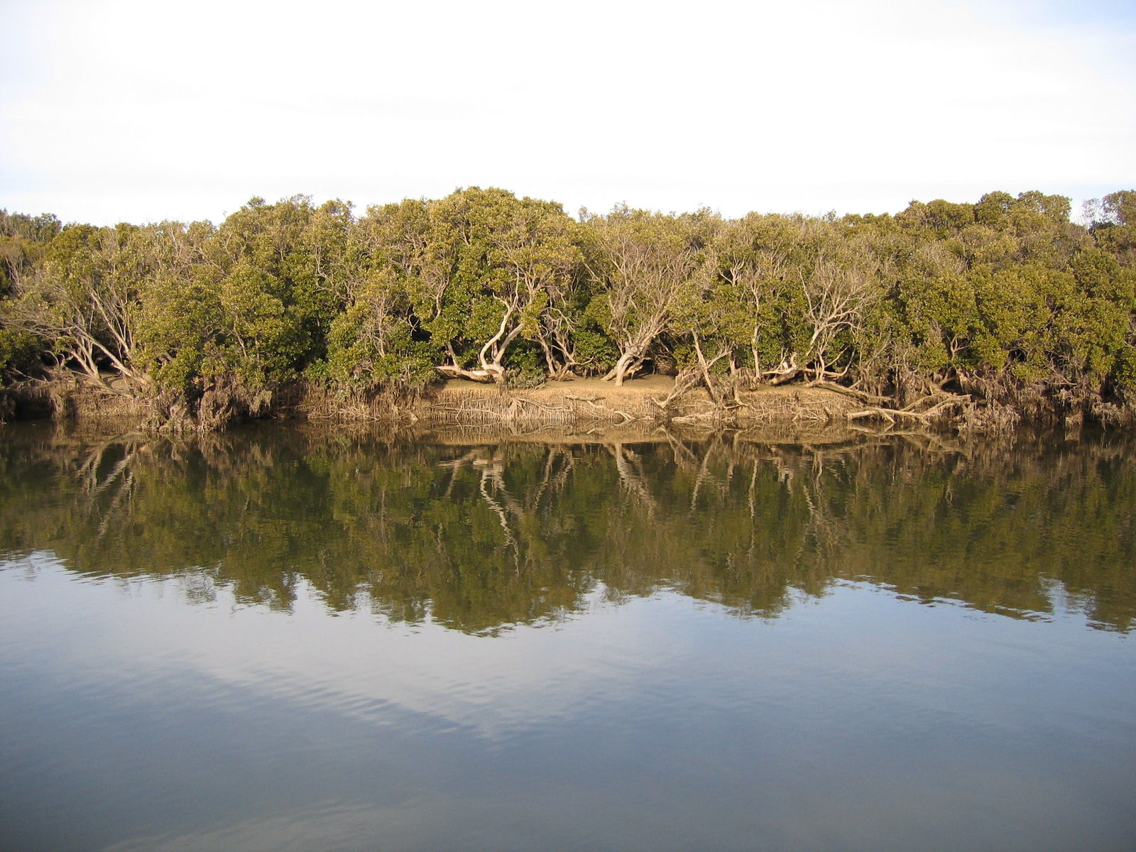 Winulta ACT Accommodation QLD