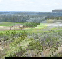 Princess Hills Girringun National Park - Accommodation QLD