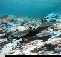 Purdy Point - Accommodation QLD