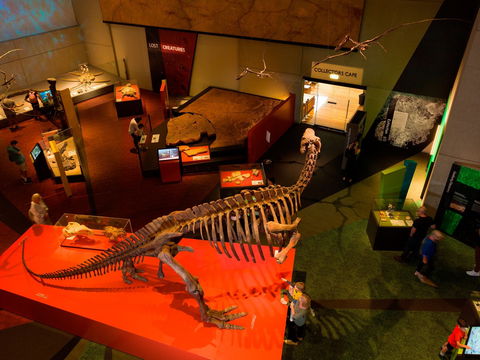 Queensland Museum - Accommodation QLD 2
