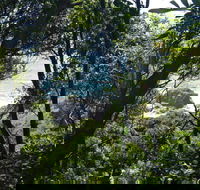 Rainforest Walking Track Hat Head National Park - Accommodation QLD