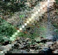 Rawson Falls Walk - Accommodation QLD