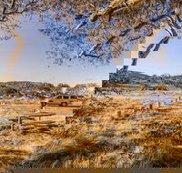 Rennix walking track - Accommodation QLD