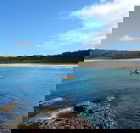 South Durras to Batemans Bay - Kayaking in the Batemans Marine Park - Accommodation QLD