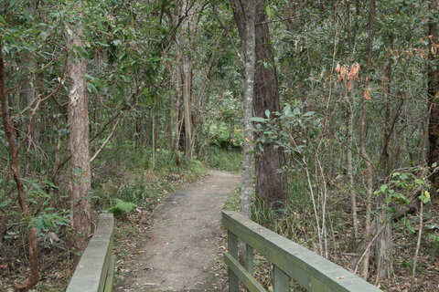 Springwood Conservation Park - Accommodation QLD 0