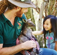 Swan Valley Kids In The Valley Trail - Accommodation QLD