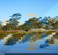 The Gums - Accommodation QLD